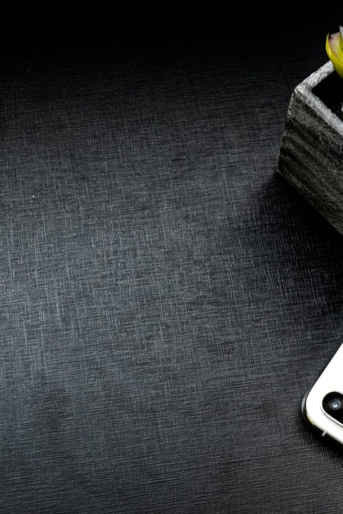 Elegant flatlay of a smartphone and succulent on a dark background with ample copyspace.